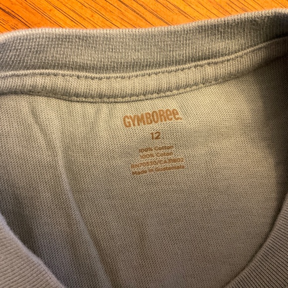 GYMBOREE boys long sleeve shirts featuring outdoors - Picture 4 of 12